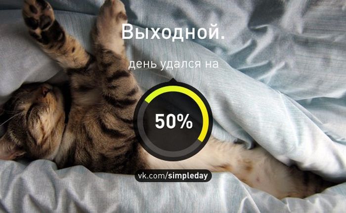 Когда день удался... (78 картинок)