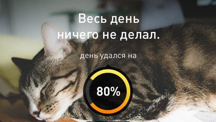 Когда день удался... (78 картинок)