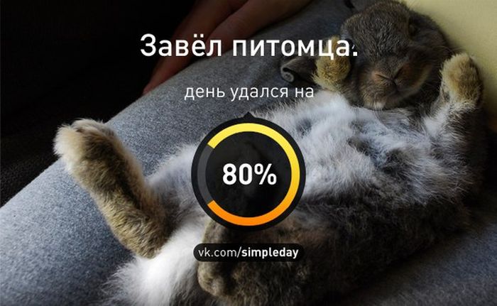 Когда день удался... (78 картинок)