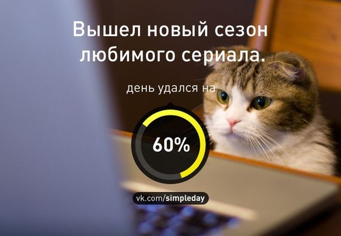 Когда день удался... (78 картинок)