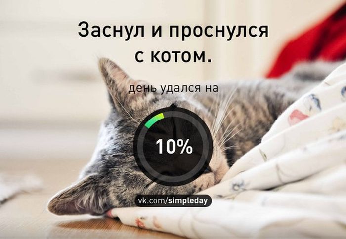 Когда день удался... (78 картинок)