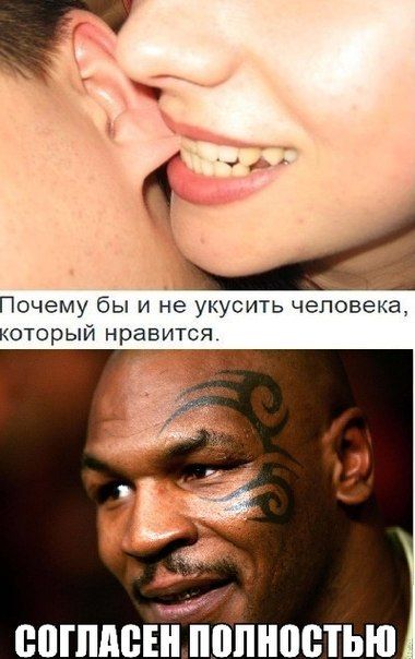 Порция картинок