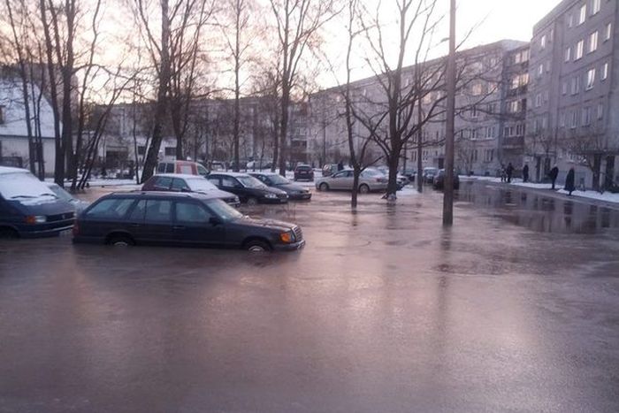 Порция картинок