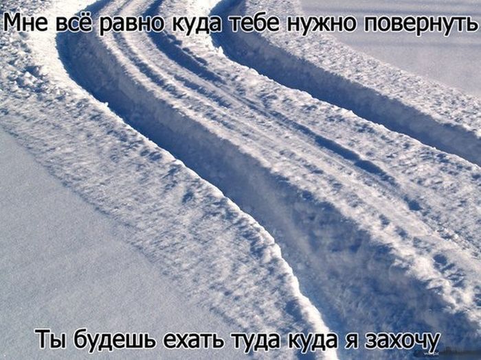Порция картинок