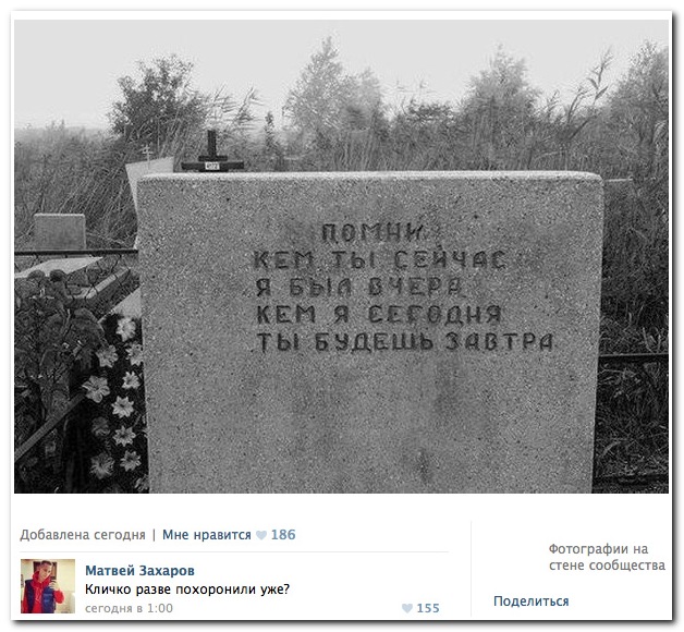 Смешные комментарии из социальных сетей