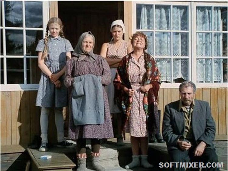 «Любовь и голуби»: детали, факты и редкие кадры из фильма «Любовь и голуби»: детали, факты и редкие кадры из фильма