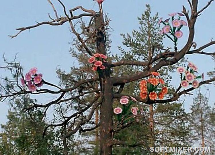 «Любовь и голуби»: детали, факты и редкие кадры из фильма «Любовь и голуби»: детали, факты и редкие кадры из фильма