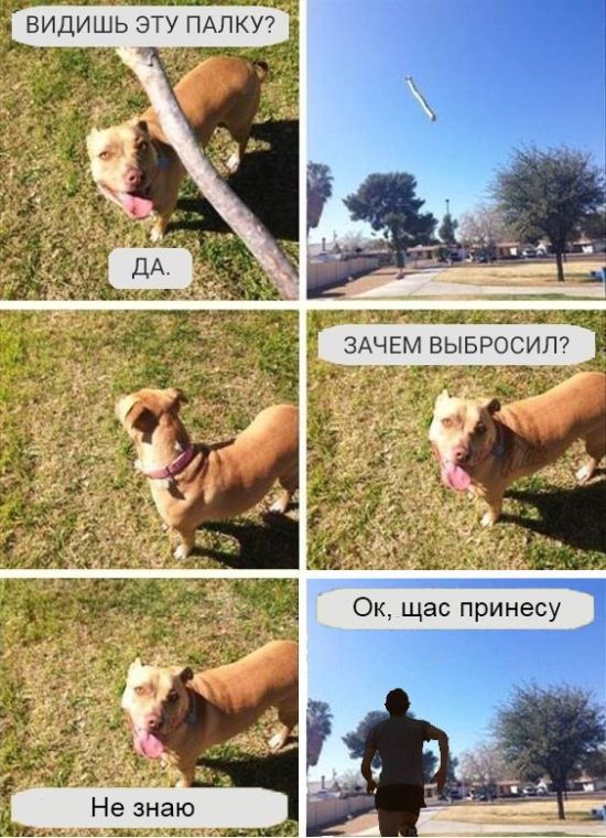 Прикольные картинки