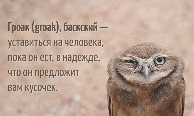 20 слов, которых нет в русском языке 20 слов, которых нет в русском языке