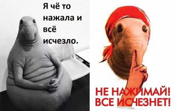 8 фактов о Ждуне от создательницы скульптуры Маргрит ван Брифорт 8 фактов о Ждуне от создательницы скульптуры Маргрит ван Брифорт