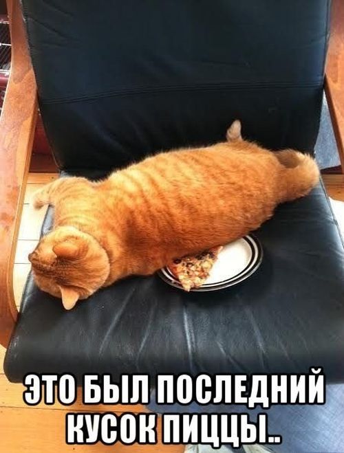 Порция картинок