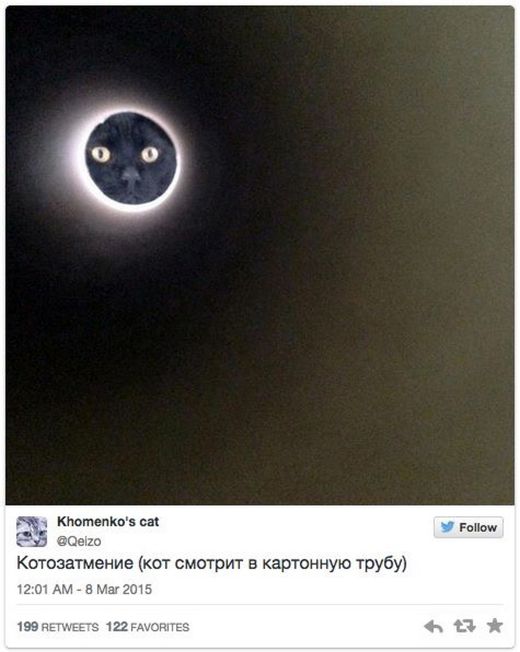 Порция картинок