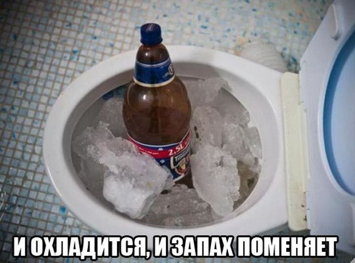 Забавные фото с просторов России и стран СНГ