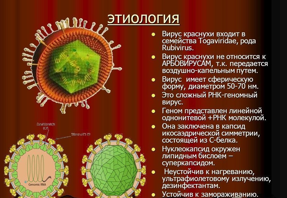 Детские заболевания, которые плохо переносят взрослые Детские заболевания, которые плохо переносят взрослые