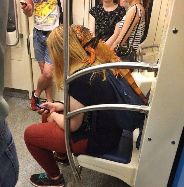 Прикольные картинки