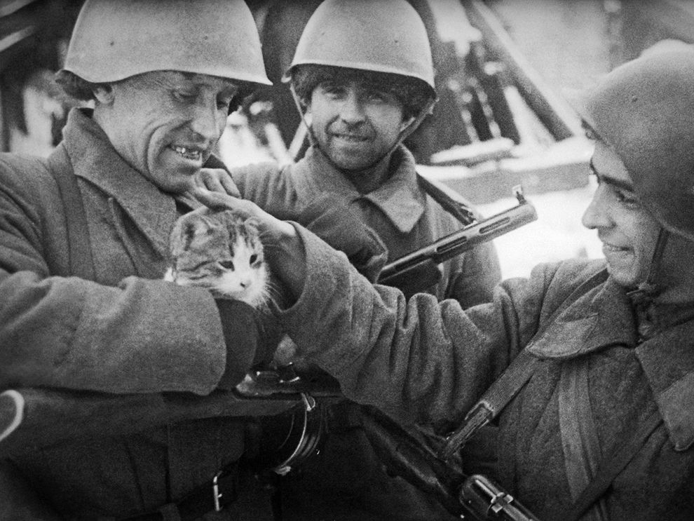 VictoryDay27 В День Победы VictoryDay27 В День Победы