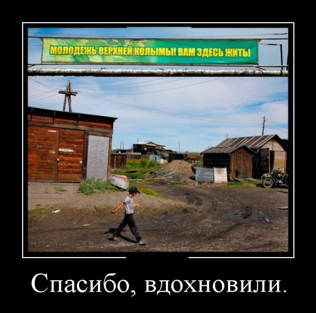 Демотиваторы