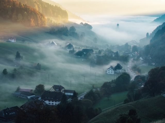Самые жуткие леса планеты Самые жуткие леса планеты