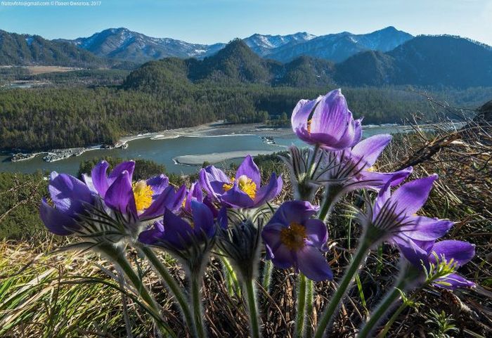 Прекрасные фото с российских просторов