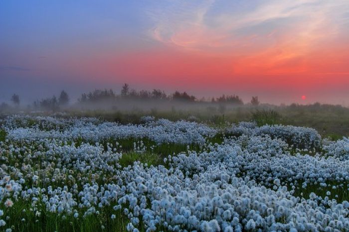 Прекрасные фото с российских просторов