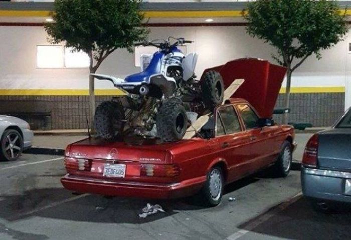 Прикольные картинки