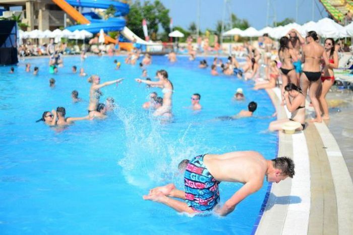Прикольные картинки