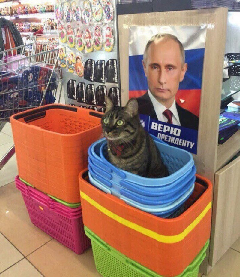 Удивительные снимки с российских просторов