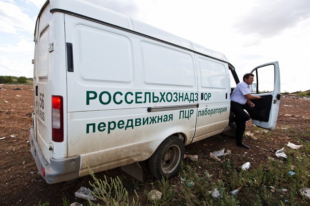 Как уничтожаются санкционные продукты