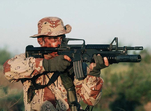 M16: главная штурмовая винтовка в истории M16: главная штурмовая винтовка в истории