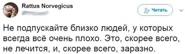 Юмор соцсетей
