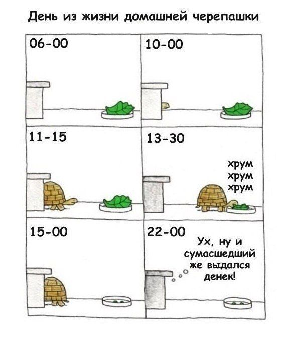 Смешные комиксы
