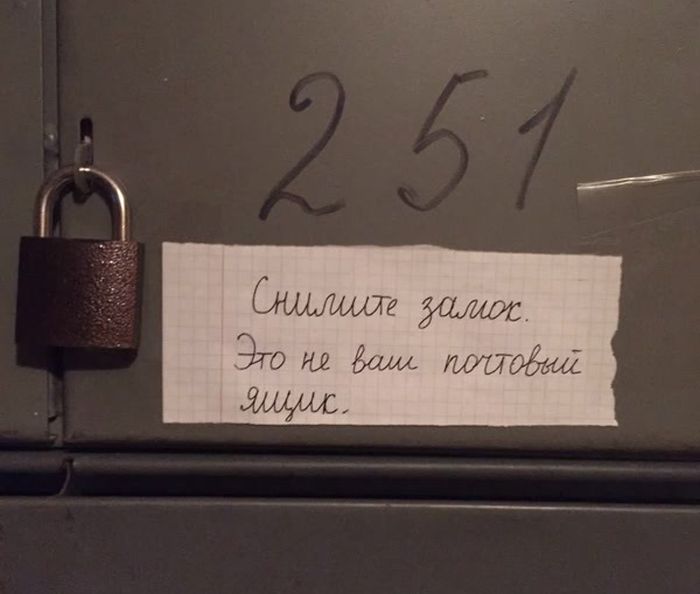 Прикольные картинки