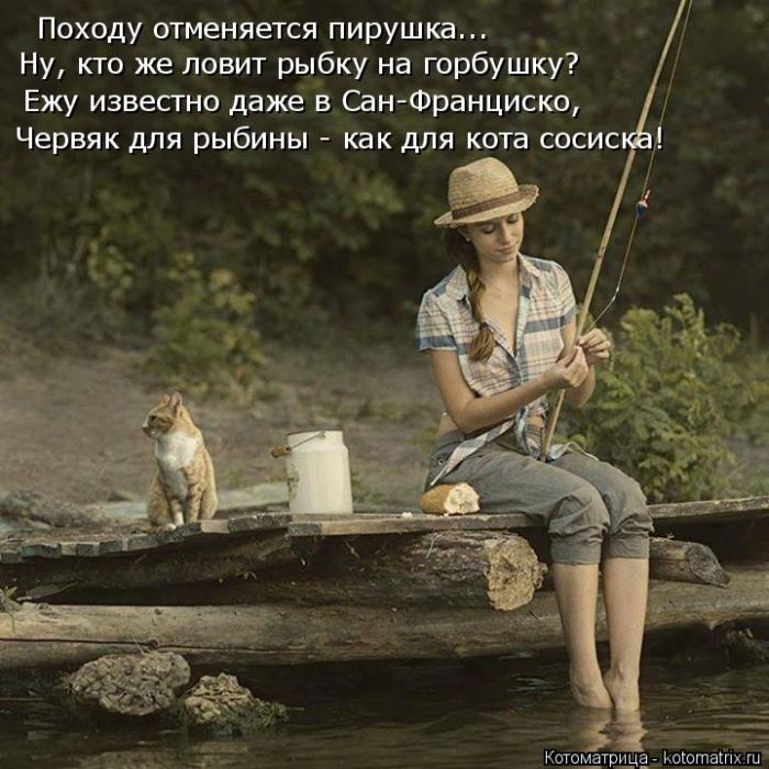 Лучшие котоматрицы недели