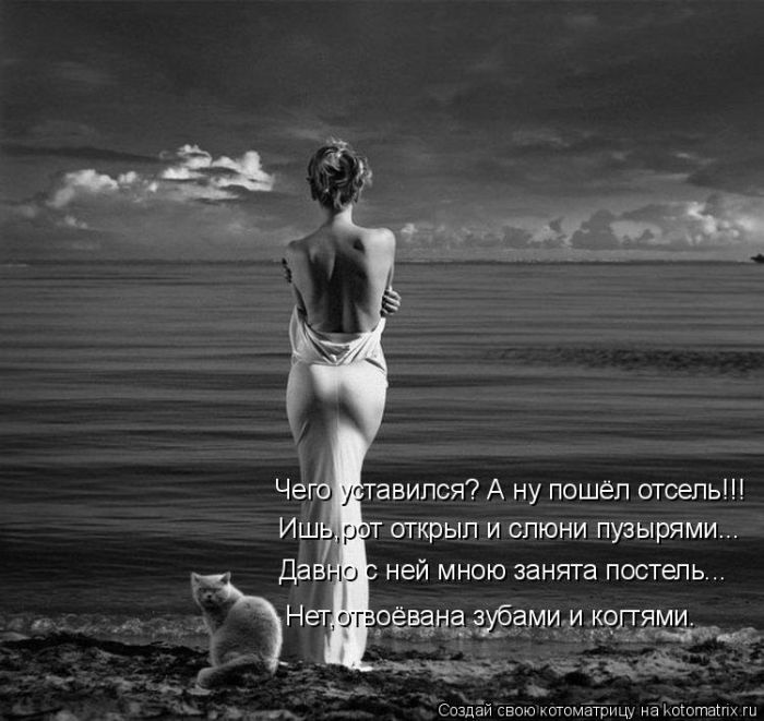 Лучшие котоматрицы недели