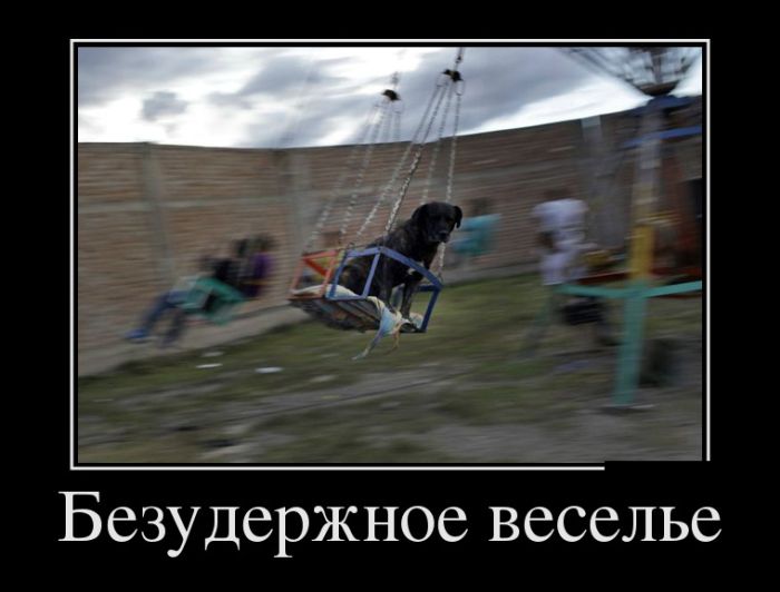 Демотиваторы