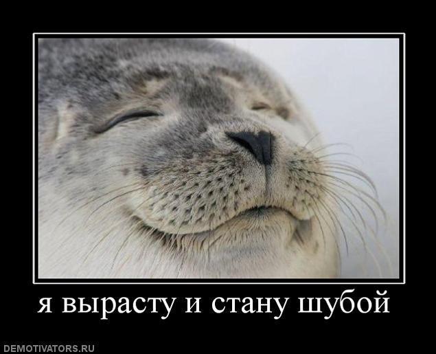 Демотиваторы (74 фото)