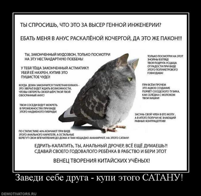 Демотиваторы (74 фото)