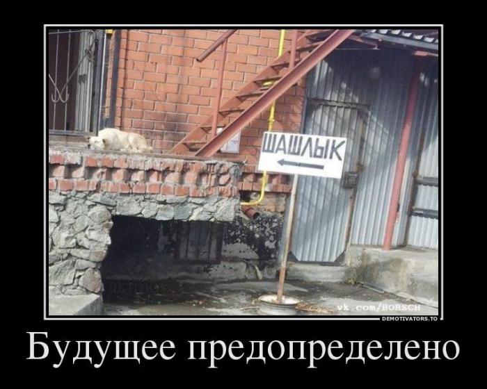 Демотиваторы (74 фото)