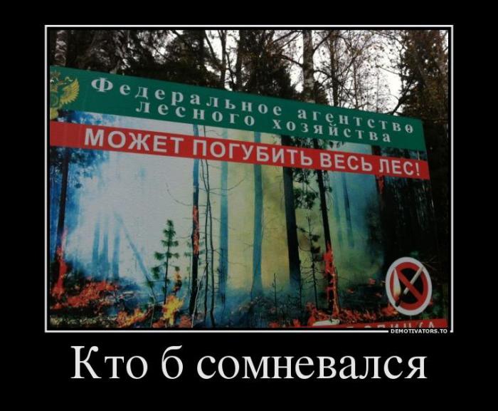 Демотиваторы (74 фото)