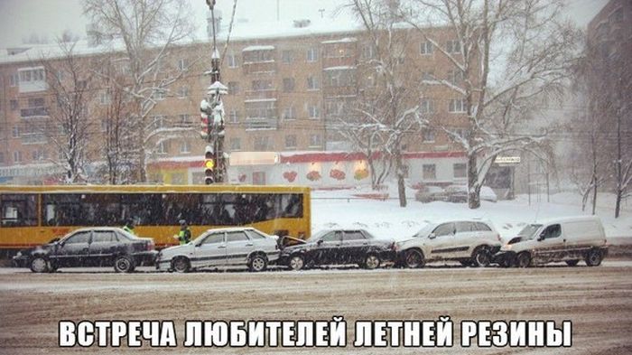 Порция картинок