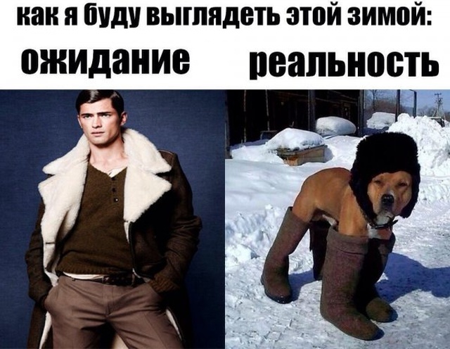 Нестандартный юмор с просторов сети