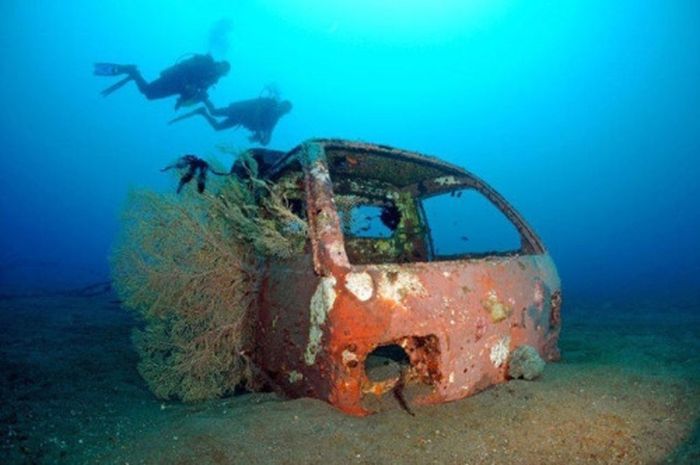 Автомобильный риф