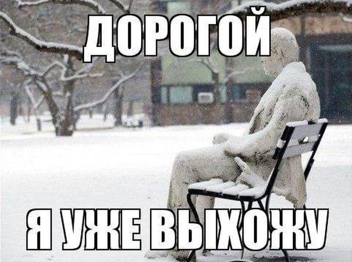 Прикольные картинки