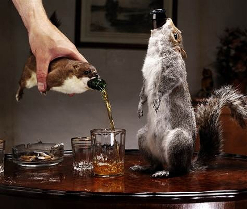 10 самых необычных алкогольных напитков в мире 10 самых необычных алкогольных напитков в мире