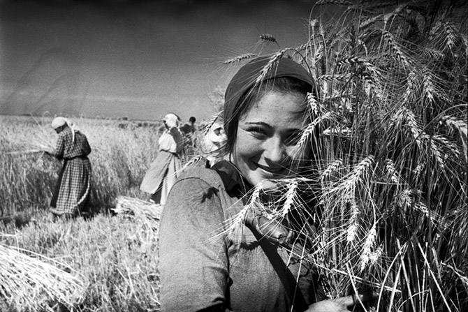 Советская эпоха в знаковых фотографиях Маркова-Гринберга Советская эпоха в знаковых фотографиях Маркова-Гринберга