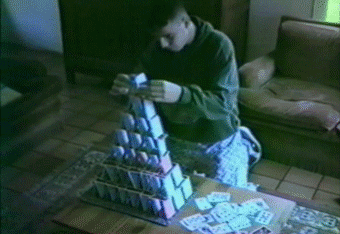 Животные проказничают