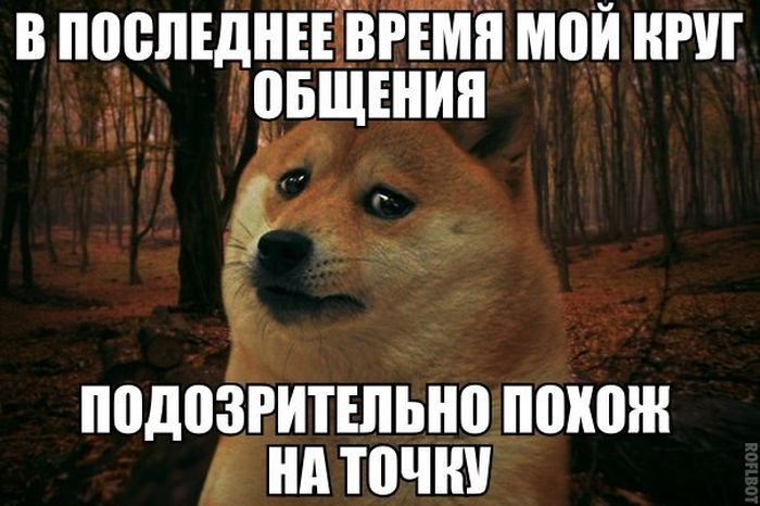 Прикольные картинки (81 фото)