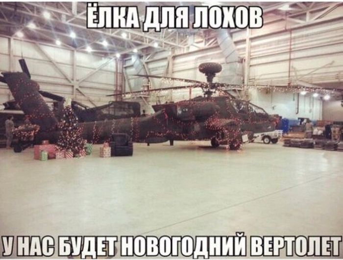 Прикольные картинки (81 фото)