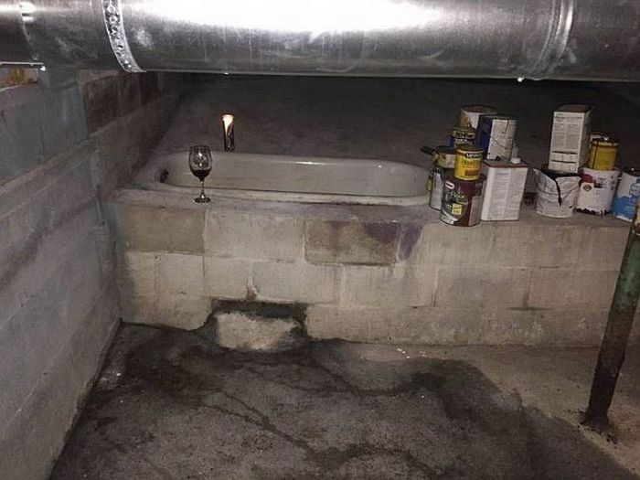 Прикольные картинки (81 фото)