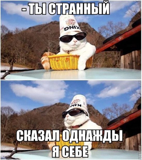 Прикольные картинки (81 фото)